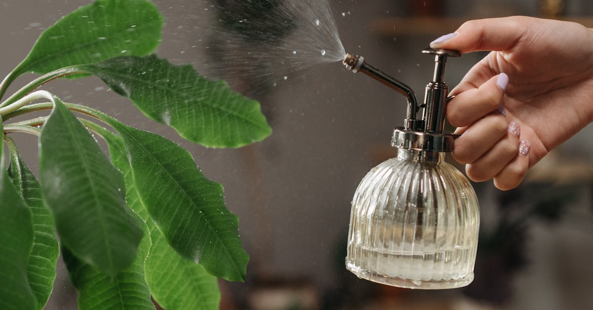 What does green mean in cleaning?